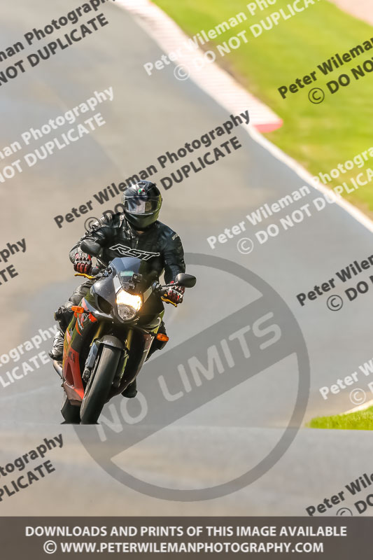 PJ Motorsport Photography 2020;anglesey;brands hatch;cadwell park;croft;donington park;enduro digital images;event digital images;eventdigitalimages;mallory;no limits;oulton park;peter wileman photography;racing digital images;silverstone;snetterton;trackday digital images;trackday photos;vmcc banbury run;welsh 2 day enduro